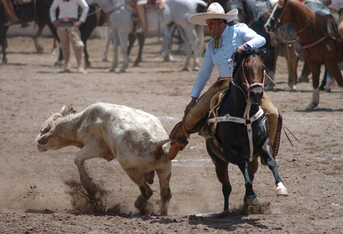 A feliz término llegó ayer el Campeonato Estatal Charro de Durango 'Don Armando Espeleta Benítez' (Archivo)