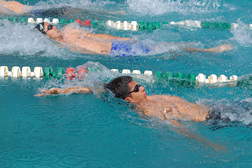 Se alista la Copa IMSS de Natación 2010, donde estarán presentes nadadores de los diferentes clubes y escuelas de esta disciplina. Se alista la Copa IMSS-Gómez Palacio de Natación