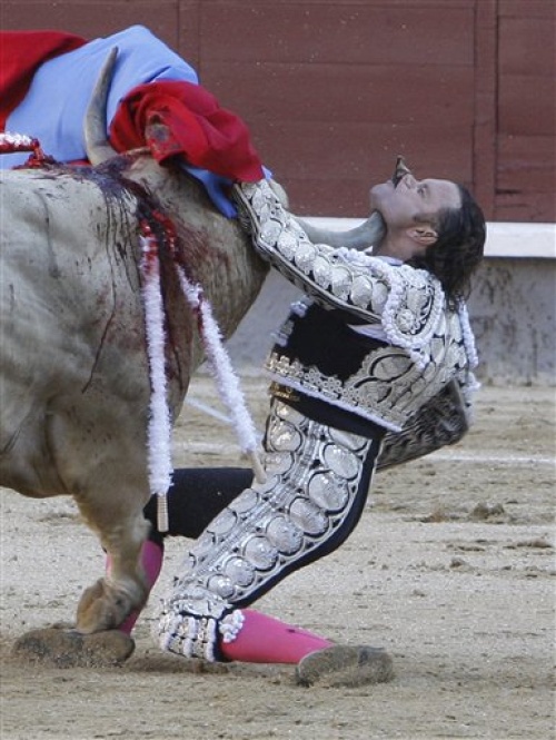 Torero español se recuepera de cornada en la garganta