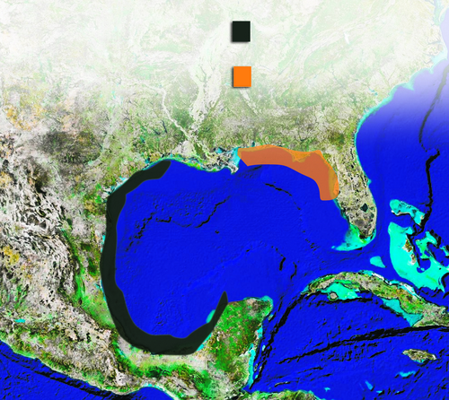 Ixtoc alecciona sobre derrame en el Golfo