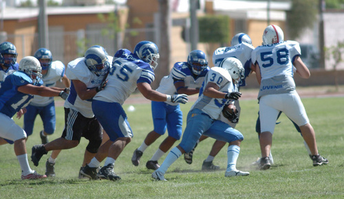 Desde el regreso del programa de futbol americano en el ITESM, los laguneros han obtenido títulos en las diferentes categorías en las que participa, como la Júnior Bantam, Intermedia y Juvenil. (Archivo)