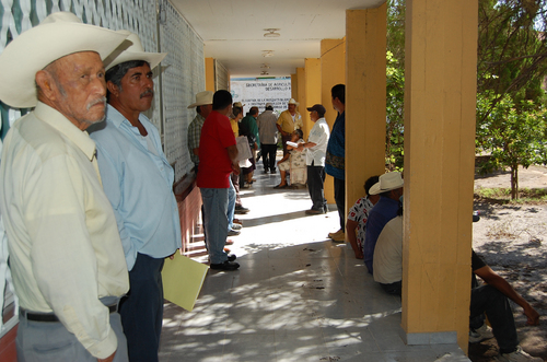 Quieren soluciones. Campesinos maderenses se ven afectados por la viruela, luego el Procampo es interrumpido.  