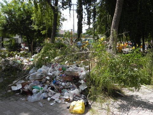 Descuidado. Visitantes dicen que está muy abandonado.
