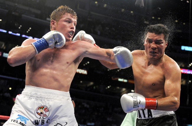 Una izquierda poderosa de Saúl Álvarez en la quijada de Carlos Baldomir mandó a la lona al argentino en el sexto round para el triunfo del mexicano. (AP)