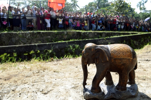 Despiden en El Salvador a elefanta 'Manyula'