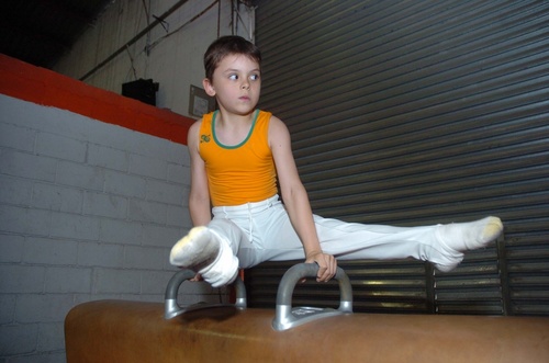 Con el cambio de domicilio del Centro de Alto Rendimiento de Gimnasia se pretende lograr un ahorro sustancial en la renta del local, además de tener un mayor control sobre las actividades en dicha academia. 