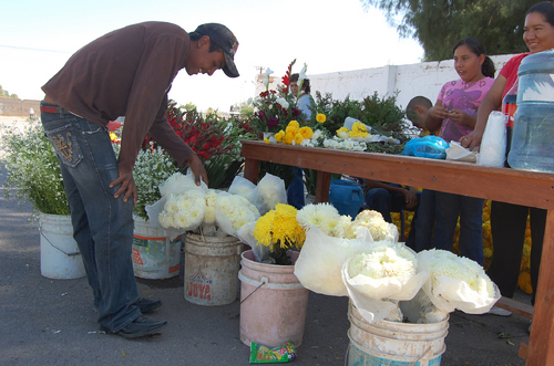 Flores tradicionales del Día de Muertos están más caras