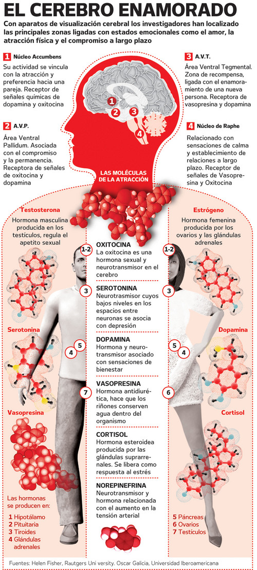 Adictos al amor: obsesión o miedo