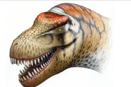 Hallan pariente del Tiranosaurio Rex en China