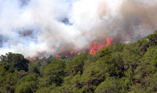 El incendio fue en las inmediaciones de la Comunidad de Ciénaga de la Purísima del Cañón de Jamé; se desconoce aún la superficie afectada.