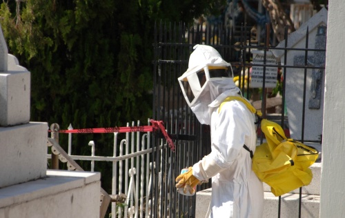 El ataque del enjambre de abejas se registró durante un mitin del candidato del PRI a la presidencia municipal, Joel González Gómez.