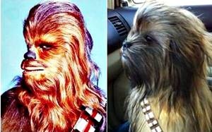 La curiosa fotografía de un canino con un extraordinario parecido al personaje de Star Wars fascinó a los usuarios de Twitter y Facebook.