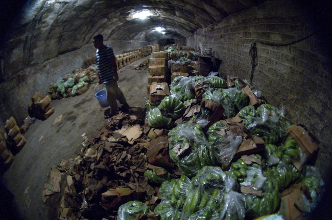 Un empreario pasa junto a varias cajas de plátanos en un antiguo refugio antibombas en la ciudad de Qingdao. EFE