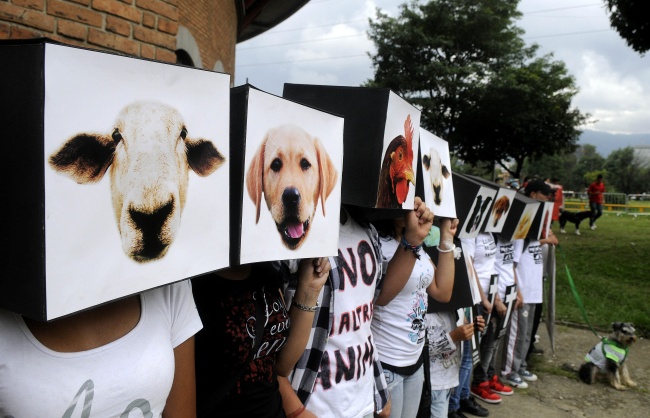 Protesta en Medellín contra el maltrato animal