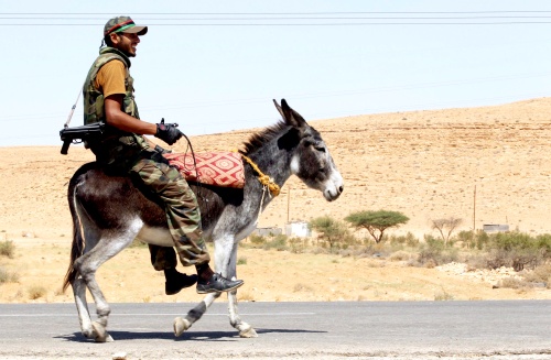 Los 'burros bomba' no son tan habituales, aunque hay constancia de que los talibanes los han empleado con anterioridad, al menos en dos ataques en las provincias sureñas de Kandahar en 2008 y de Helmand en 2009.