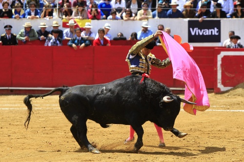 El torero mexicano Diego Silveti lidia un toro, durante la feria Jesús del Gran Poder en la plaza de toros de Quito.EFE
