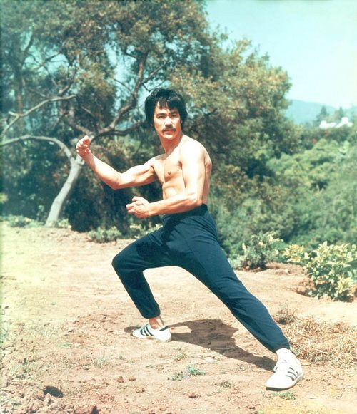 El Instituto de Artes Marciales prepara sus cursos de wing chun. Darán cursos de wing chun