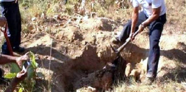 Los cuatro arraigados manifestaron haber participado en el asesinato de una mujer que fungía como, agente del Ministerio Público en Ciudad Lerdo, además de asesinar y crear una fosa clandestina ubicada en las cercanías del basurero de Lerdo, en el ejido San Fernando, para sepultar a sus víctimas. (Archivo)