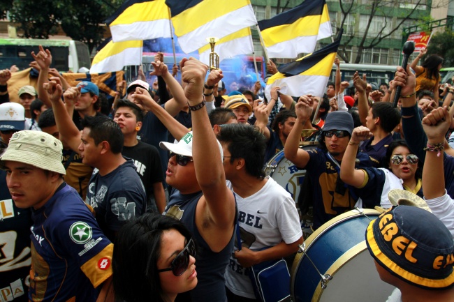 El portero Alejandro Palacios, lamentó la bronca desatada el sábado pasado entre los integrantes de la porra de los Pumas de la UNAM en el estadio Azul de la ciudad de México. 