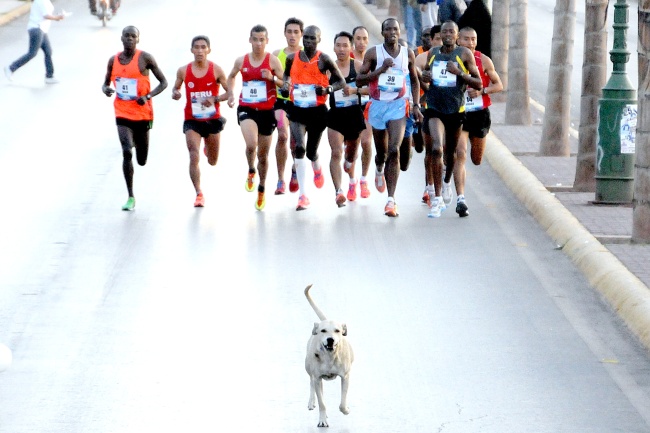 Mose rebasó a la campeona de la rama femenil, Marisol Romero, sobre la Avenida Juárez, antes del Estadio de la Revolución, por lo que fue el primer maratonista en terminar los 42.195 kilómetros.