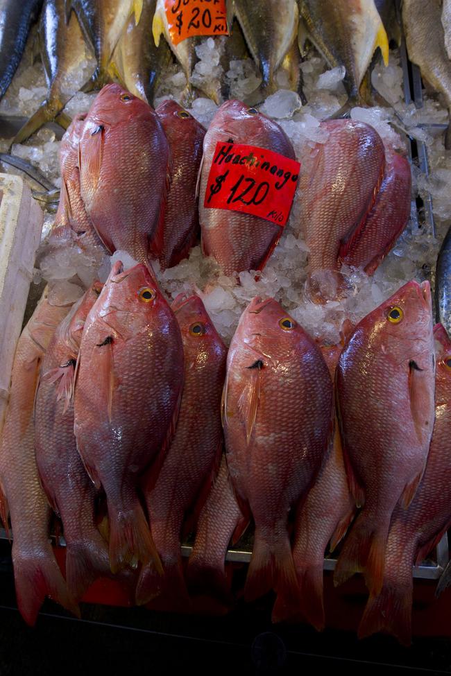 Alertan por consumo de alimentos expuestos al sol