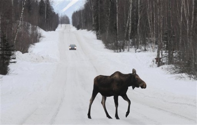 El clima extremoso ha afectado no solamente a Alaska, sino a muchos de los 48 estados colindantes del país. (AP) 