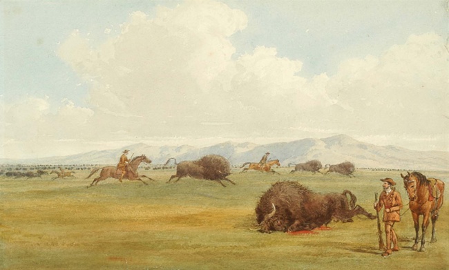 De regreso a su país en 1867Wallace protagonizó una épica cacería de búfalos en laComarcaLagunera cercade la antigua Haciendade Hornos.