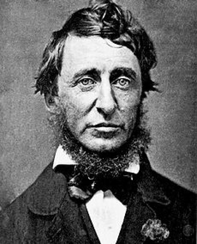 Henry David Thoreau, uno de los pioneros de la literatura estadounidense. ARCHIVO