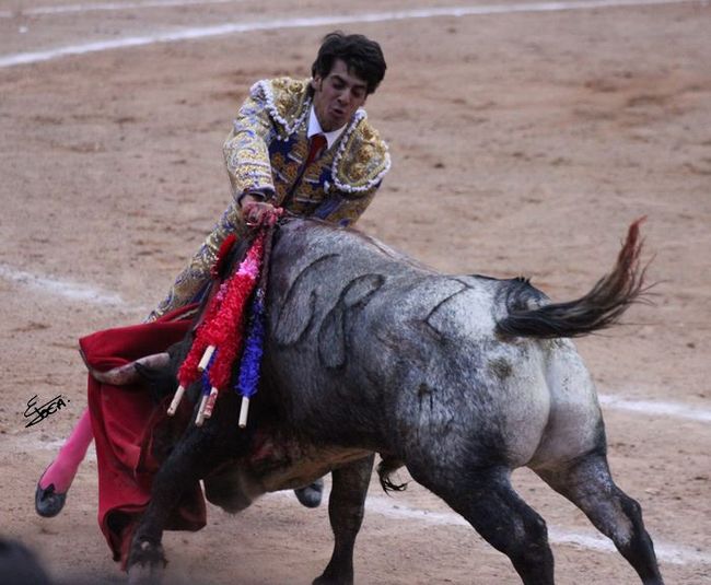 El diestro lagunero Antonio Lomelín se alzó el domingo pasado como el primer triunfador de la Temporada Chica 2012 en la Plaza México, al cortar una oreja. (Especial)