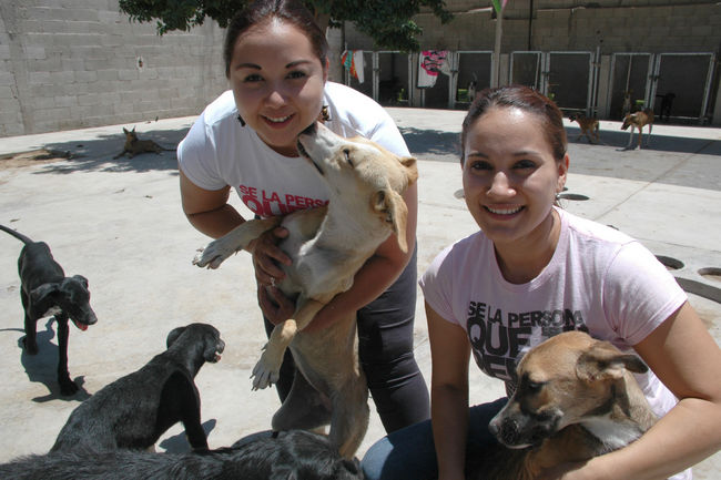 Un compromiso. Wendy Pérez y Martha Téllez aseguran que rescatar animales de la calle es un compromiso con la sociedad.