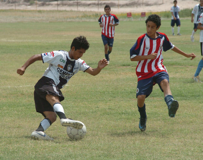 Reanuda actividad escuela de Chivas