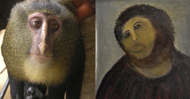 El parecido entre la nueva especie de mono y el arruinado 'Ecce Homo'. (Archivo)