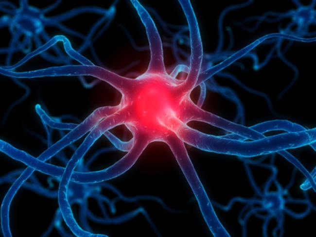 Simulando en computadora un microcircuito neuronal, científicos lograron determinar cuál es la posible causa de que se produzca la sinapsis.