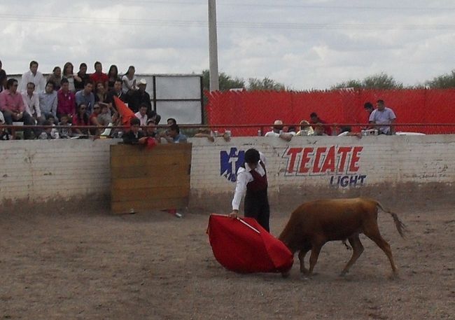 Los elementos de la Academia de la Cultura Taurina del Coliseo Centenario de Torreón serán parte del Serial de Vacadas Zona Norte, a realizarse en las ciudades de Saltillo, Torreón y Durango.
