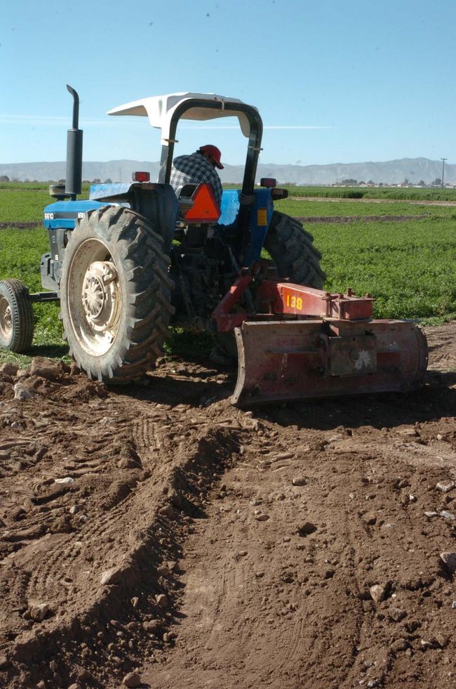 Que llueva. Carlos García, presidente de la CAGT dijo que esperan que caigan fuertes lluvias en la cuenca alta para ampliar el ciclo agrícola 2012-2013. (Archivo)