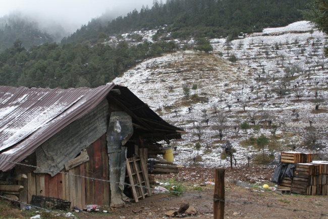 Como ocurrió en el 2012 y 2010; después de haberse mantenido la neblina por más de 14 horas; los cañones de Tunal, Jamé y de San Antonio de las Alazanas, de la sierra de Arteaga, hoy amanecieron bajo la nieve y con bajas temperaturas.
