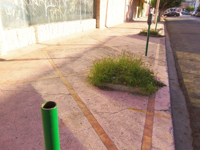 Faltan. En muchas de las calles del primer cuadro sólo es posible ver los tubos que sirven como base a los aparatos de parquímetros.