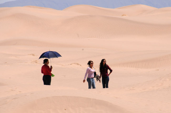 Sin infraestructura. Aunque las dunas de Viesca ofrecen un bello panorama al visitante, se requiere más infraestructura para hacer la experiencia más atractiva a los turistas.