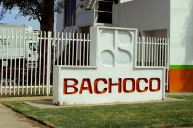 Tendencias. Industrias Bachoco se hizo acreedora a una segunda multa en tres meses por caer en prácticas monopólicas y tendrá una multa de 3.16 millones de pesos. 