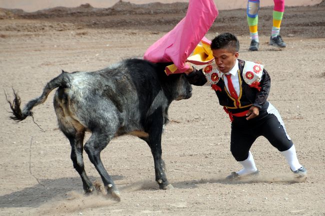 El pequeño Abraham mostrará su grandeza como torero en el ruedo de la Plaza de Toros Salvador Barrera de Ciudad Lerdo, Durango. Van a Ciudad Lerdo los Enanitos Toreros