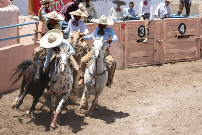 El domingo 24 se celebrará la segunda charreada del año. Celebrarán segunda charreada