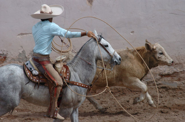 Hoy domingo se celebrará la tercera charreada del año en el Lienzo Charro Laguna de Gómez Palacio con la participación de tres equipos. Celebrarán tercera charreada