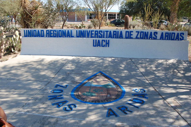 Estudio. La Universidad de Chapingo abrió su proceso de inscripción para los alumnos que deseen cursar alguno de sus programas.