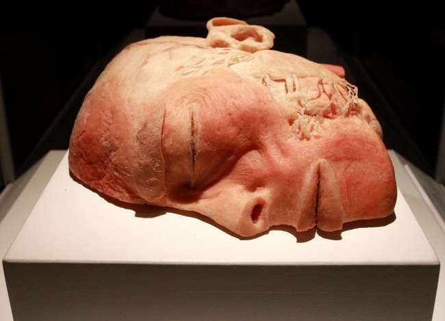 Exposición 'El cuerpo humano'