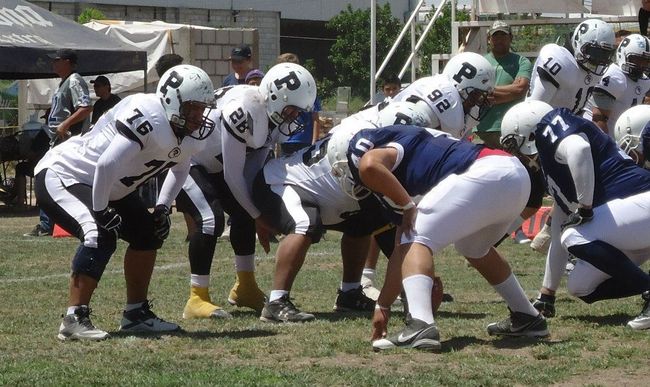 Luego de varias temporadas fallidas, las Panteras de la Deportiva Torreón debutan en los playoffs del football americano arena en la Comarca Lagunera, por lo que intentarán dar la sorpresa ante los líderes Borregos Salvajes. (LIFAL)