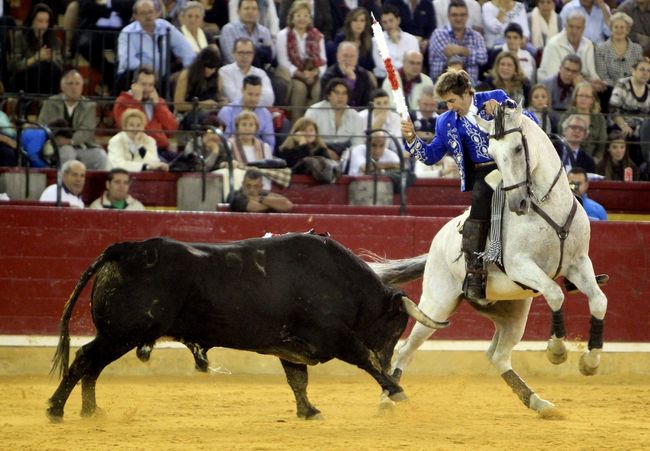 El rejoneador Hermoso de Mendoza alternará en el ruedo torreonense con los toreros mexicanos Fermín Spínola y Joselito Adame. El espectáculo está garantizado en el Coliseo Centenario de Torreón.