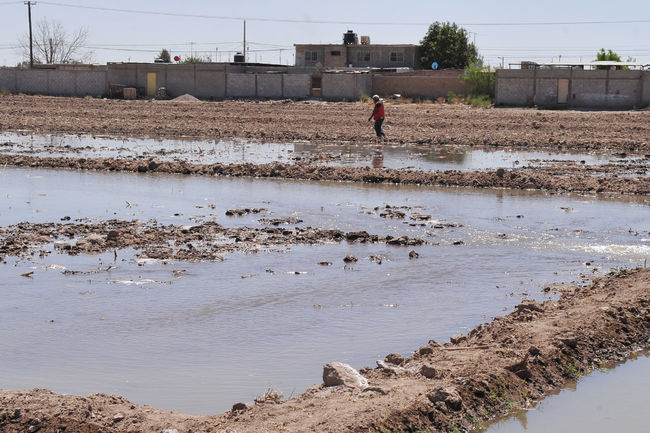 Adeudos. Por deber el pago del agua para regar, campesinos no pueden tramitar el Procampo.