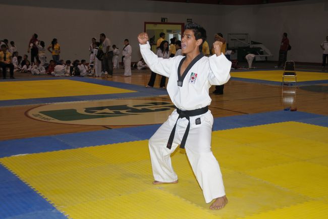 Los exponentes de tae kwon do en La Laguna tendrán la oportunidad de capacitarse con el Gran Maestro Park Hae Man. Viene alto directivo de Chung Do Kwan