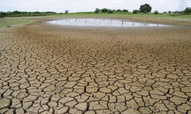 Estragos. La sequía es un problema muy grave en el país.