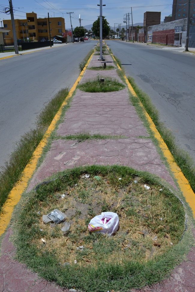 Sin atención. Sobre la calzada México de la zona oriente en Torreón han depositado basura en el camellón central, en las áreas donde había árboles. En el lugar tampoco se realizan labores de poda.